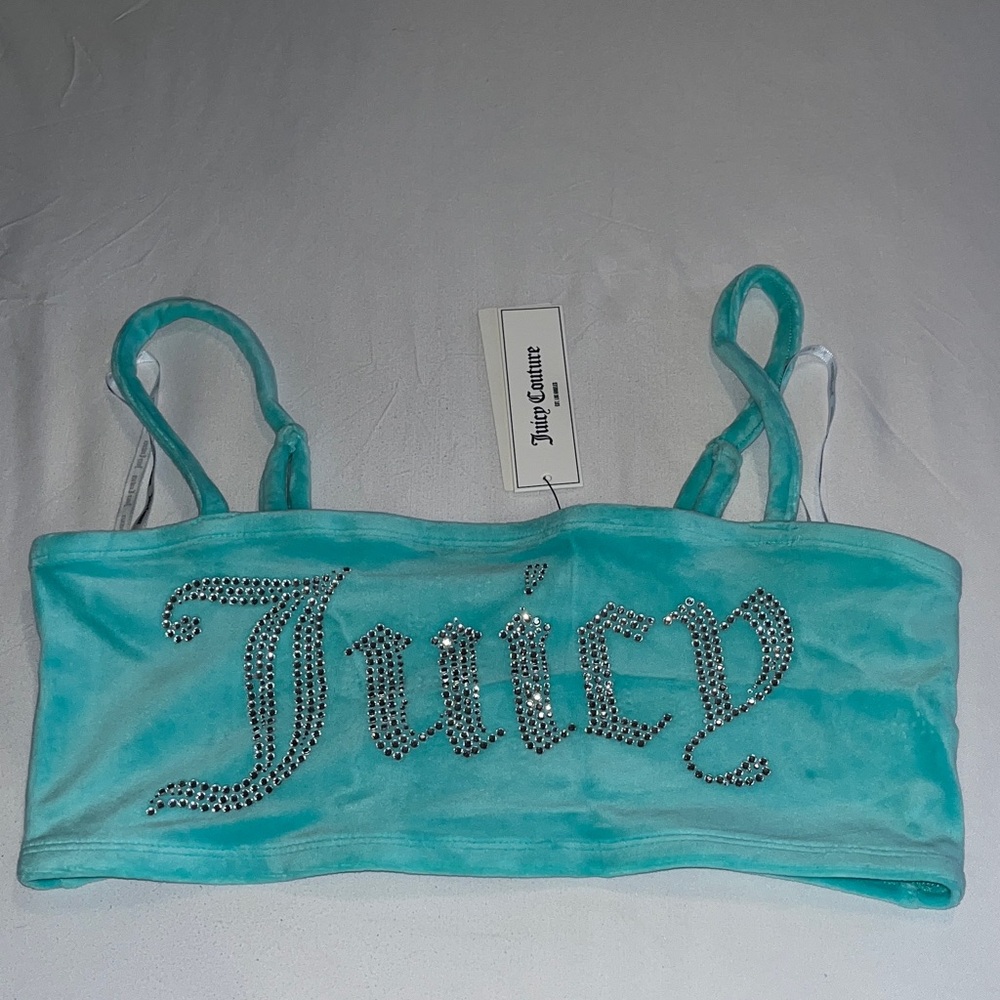 Urban Outfitters Juicy Couture Collection Mint Rhinestone Tube Top